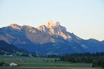 Gimpel und Rote Flh in der Abendsonne.