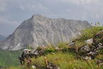 Karge Wiesen im Gebirge.
